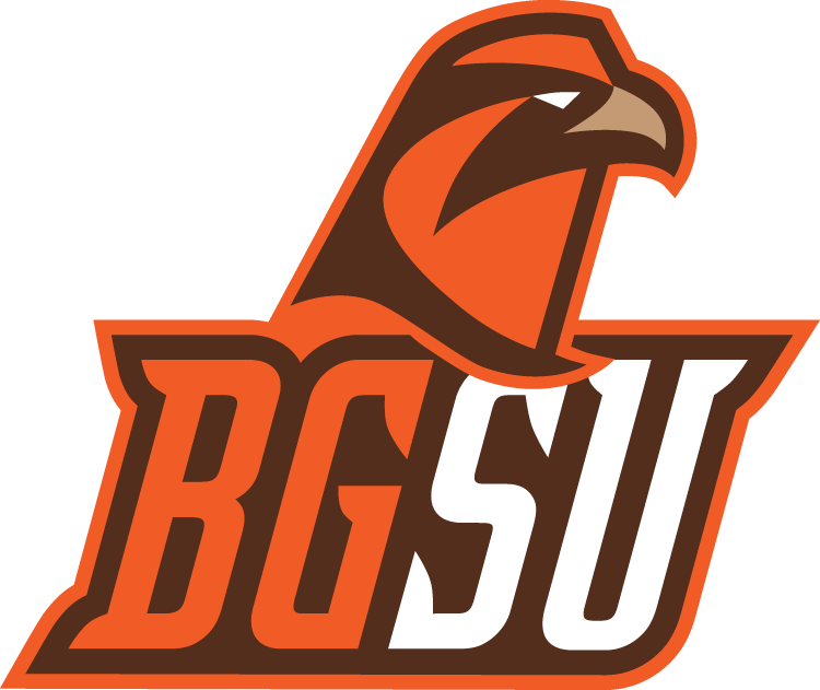 Bowling Green Falcons 2006-Pres Alternate Logo v10 diy iron on heat transfer...
